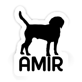 Autocollant Chien Amir Image