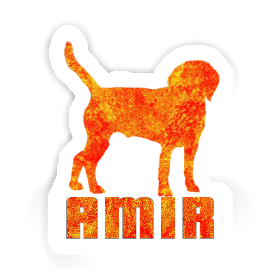 Chien Autocollant Amir Image