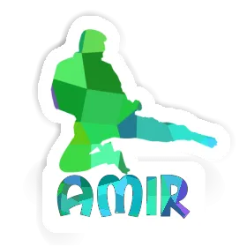 Amir Sticker Karateka Image