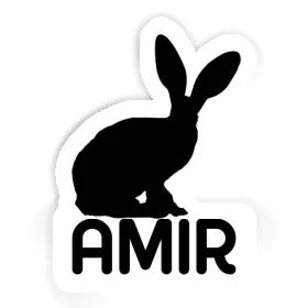 Amir Sticker Rabbit Image