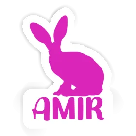 Sticker Rabbit Amir Image