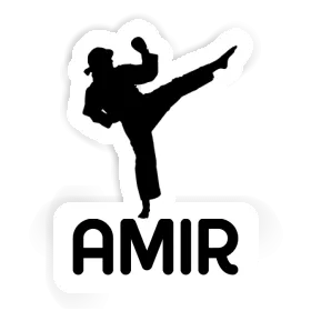 Karateka Sticker Amir Image