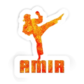 Sticker Amir Karateka Image