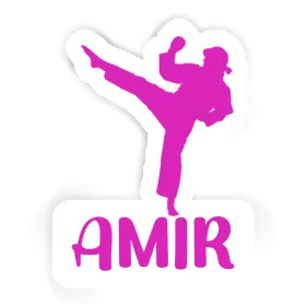 Karateka Sticker Amir Image