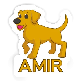 Amir Sticker Labrador Image