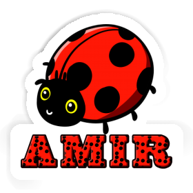 Sticker Amir Ladybug Image