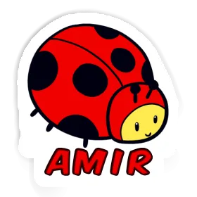 Sticker Amir Ladybug Image