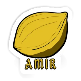 Sticker Nut Amir Image