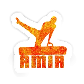 Sticker Gymnast Amir Image