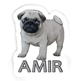 Amir Sticker Pug Image