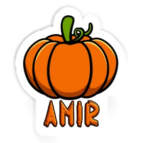 Pumpkin Sticker Amir Image