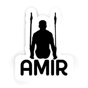 Amir Sticker Ring gymnast Image