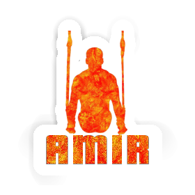 Sticker Ring gymnast Amir Image