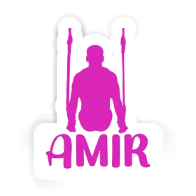 Ring gymnast Sticker Amir Image