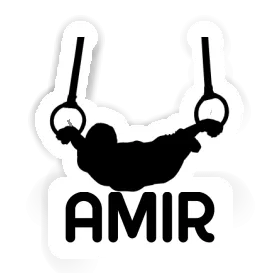 Ring gymnast Sticker Amir Image