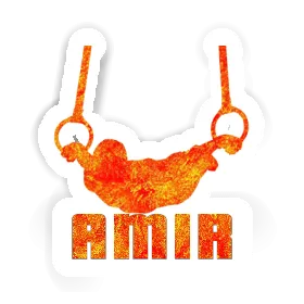 Amir Sticker Ring gymnast Image