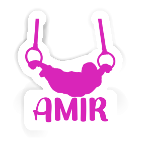 Amir Sticker Ring gymnast Image