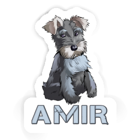 Schnauzer Autocollant Amir Image