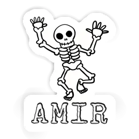 Amir Sticker Skeleton Image