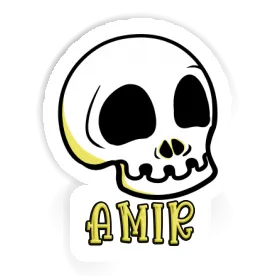 Amir Sticker Skull Image