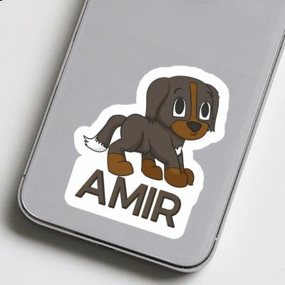 Sticker Sennenhund Amir Image