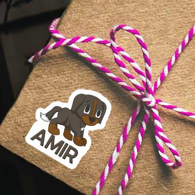 Sticker Sennenhund Amir Gift package Image