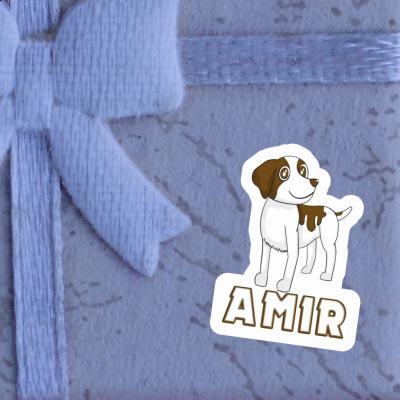 Aufkleber Amir Bretagne Hund Gift package Image