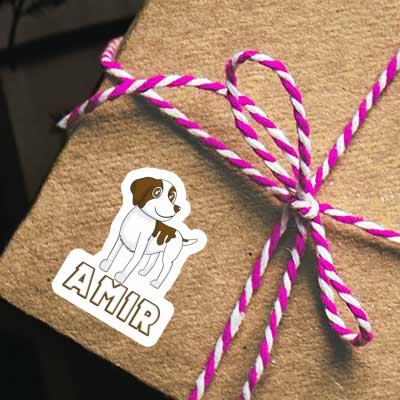 Amir Autocollant Bretagne chien Gift package Image