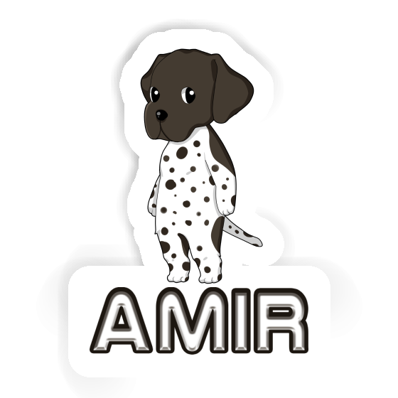 Sticker Amir German Shorthaired Pointer Image