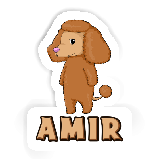 Caniche Autocollant Amir Gift package Image