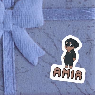 Amir Aufkleber Rottweiler Gift package Image