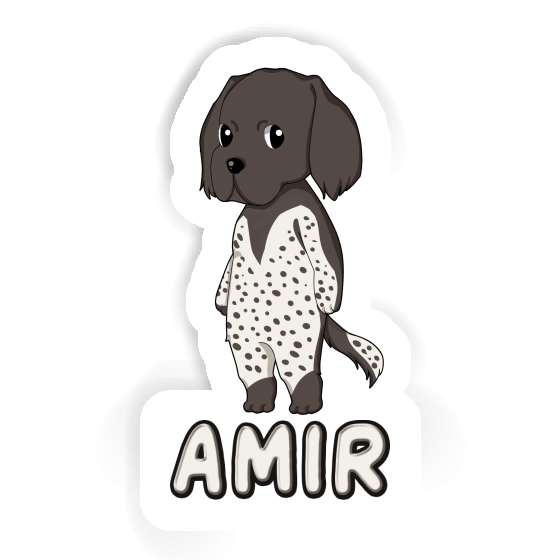 Sticker Small Munsterlander Amir Laptop Image