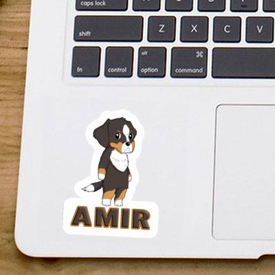 Sticker Dog Amir Laptop Sticker Dog Amir Laptop Image