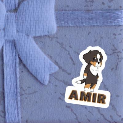Sticker Dog Amir Sticker Dog Amir Image