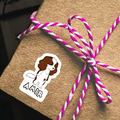Amir Sticker Cavalier King Charles Spaniel Amir Sticker Cavalier King Charles Spaniel Image