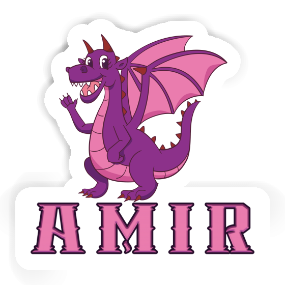 Autocollant Amir Dragon mère Gift package Image