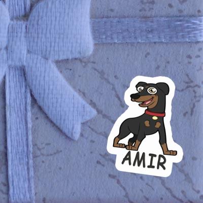 Sticker Amir German Pinscher Laptop Image