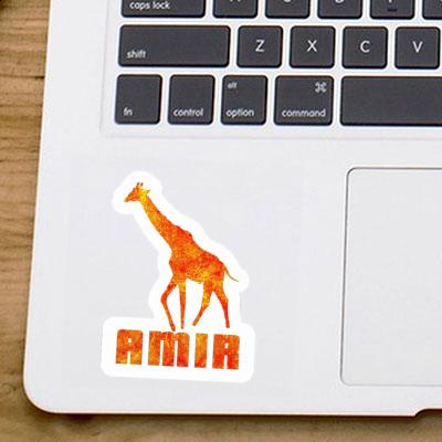 Sticker Giraffe Amir Gift package Image