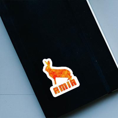 Sticker Amir Hase Notebook Sticker Amir Hase Gift package Image