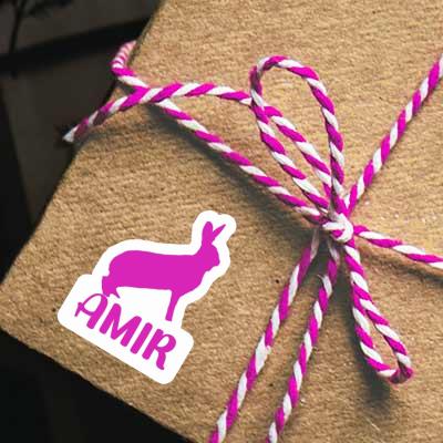 Autocollant Amir Lapin Gift package Image