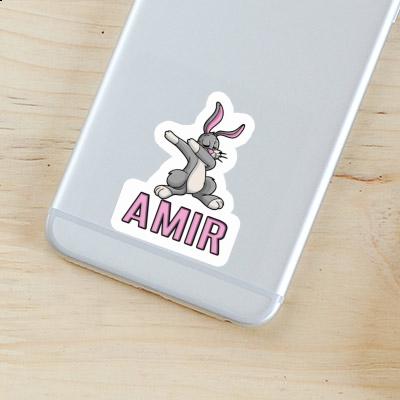 Autocollant Lapin Amir Gift package Image