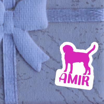 Chien Autocollant Amir Gift package Image