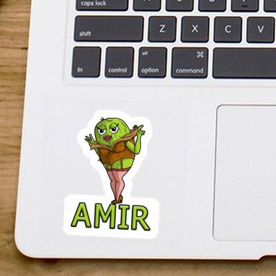 Sticker Amir Kiwi Notebook Image