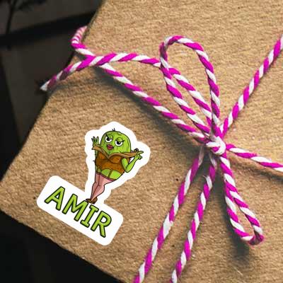 Kiwi Sticker Amir Notebook Image