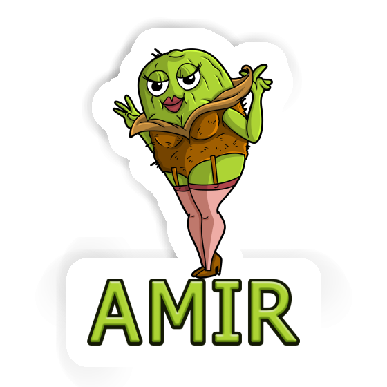 Kiwi Sticker Amir Laptop Image