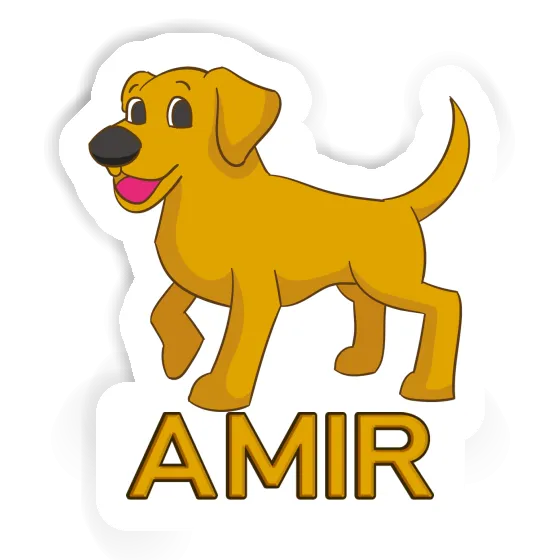 Amir Sticker Labrador Gift package Image