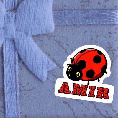 Sticker Amir Marienkäfer Notebook Sticker Amir Marienkäfer Gift package Image