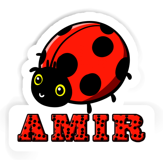 Sticker Amir Marienkäfer Sticker Amir Marienkäfer Image