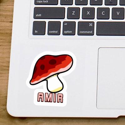 Sticker Amir Toadstool Gift package Image