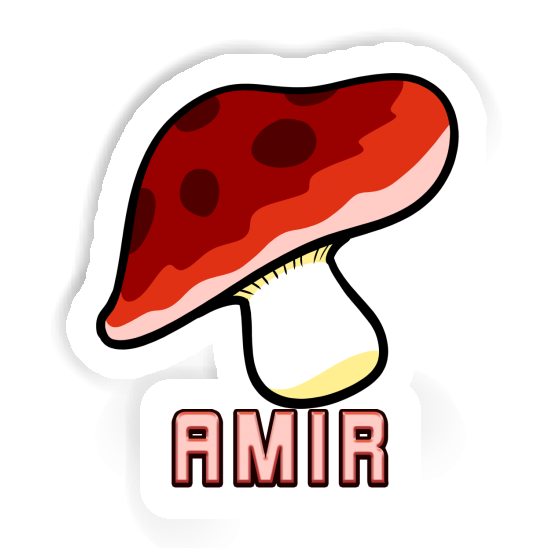 Sticker Amir Toadstool Gift package Image